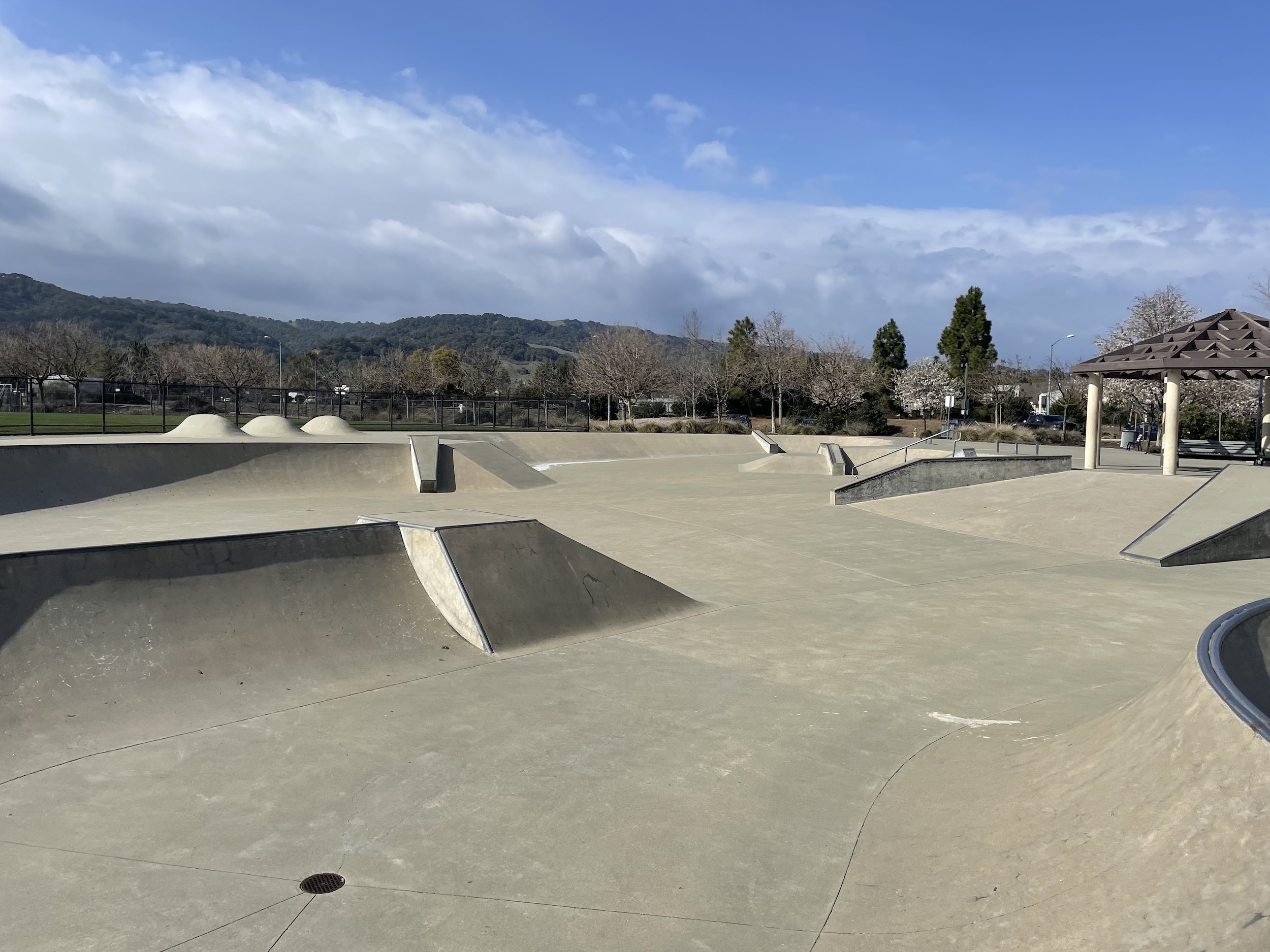Pleasanton skatepark